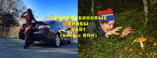прущая мука Алексин