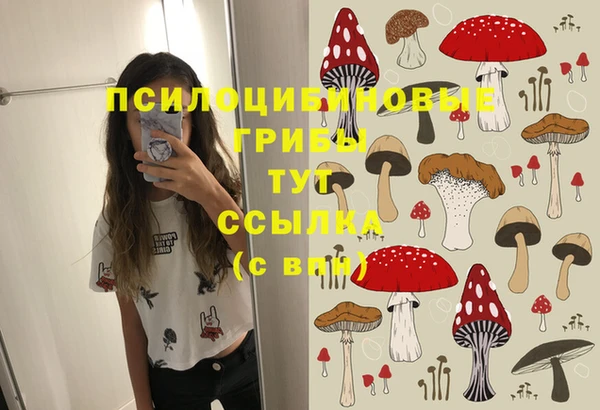 таблы Алзамай