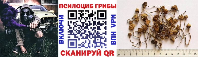 kraken Обоянь Галлюциногенные грибы прущие грибы наркотики